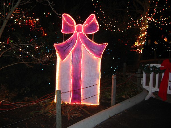 wildlights at zoo 029.jpg